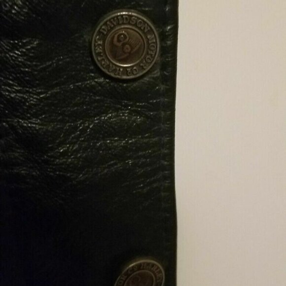 Men's Authentic Harley Davidson SHOVELHEAD Leather Chaps Lined, Large EUC​​​​​​​ - Picture 6 of 7